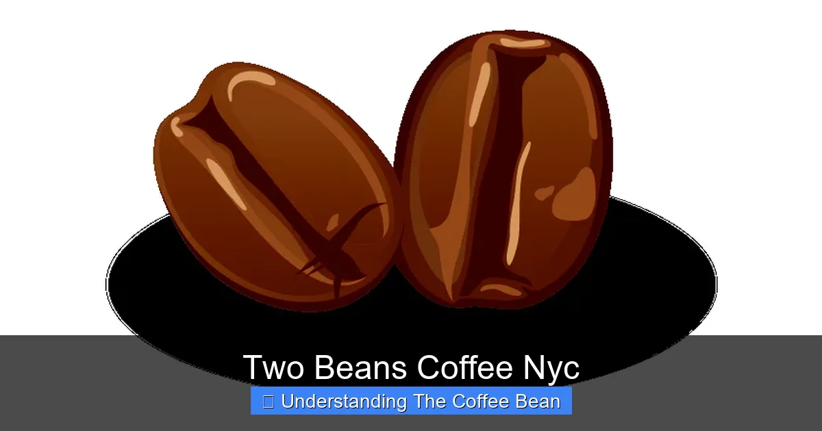 Two Beans Coffee Nyc