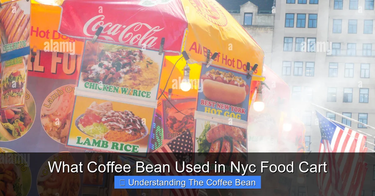 What Coffee Bean Used in Nyc Food Cart