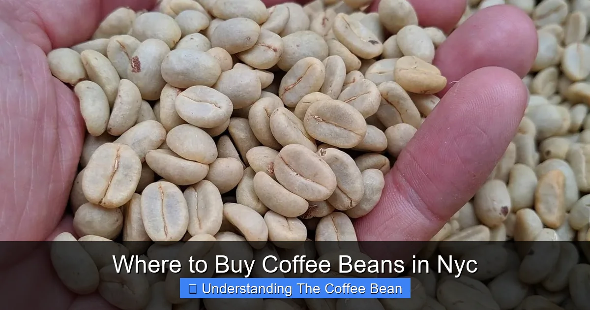 Where to Buy Coffee Beans in Nyc