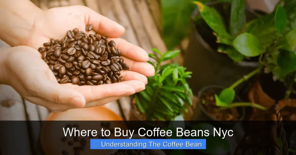 Where to Buy Coffee Beans Nyc