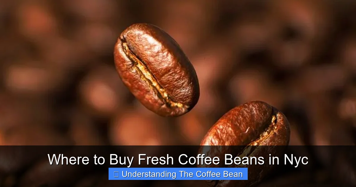 Where to Buy Fresh Coffee Beans in Nyc