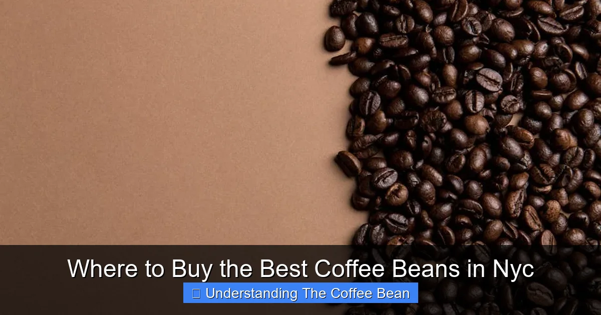 Where to Buy the Best Coffee Beans in Nyc