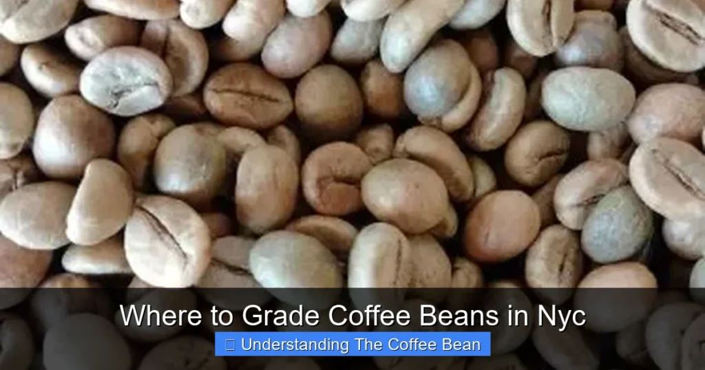 Where to Grade Coffee Beans in Nyc