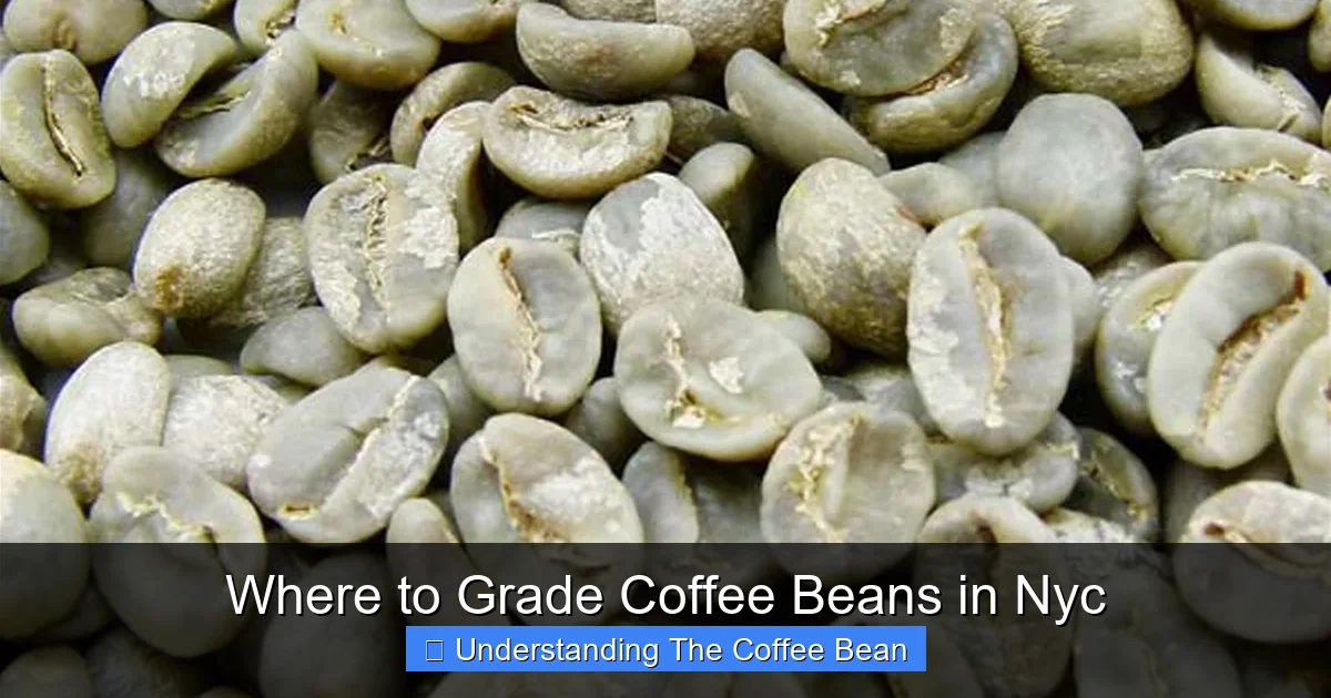 Where to Grade Coffee Beans in Nyc